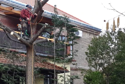 Gondos udvarfenntartás közösségi összefogással