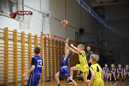 A Bivalyok bizonyították: helyük van a legerősebb mezőnyben