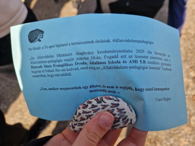 Csoportjaink
