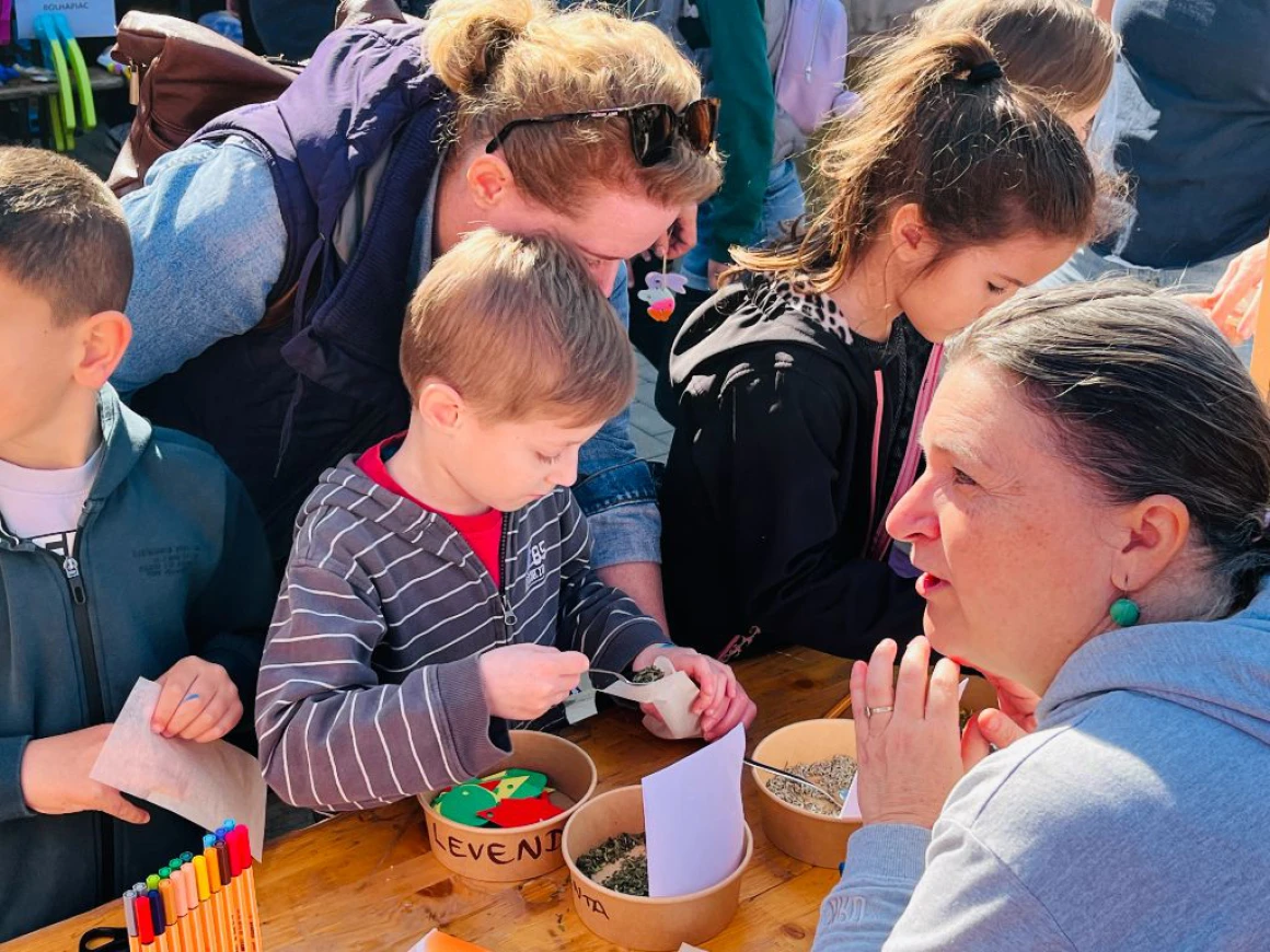 Szent György-napi zsongás az iskolánkban
