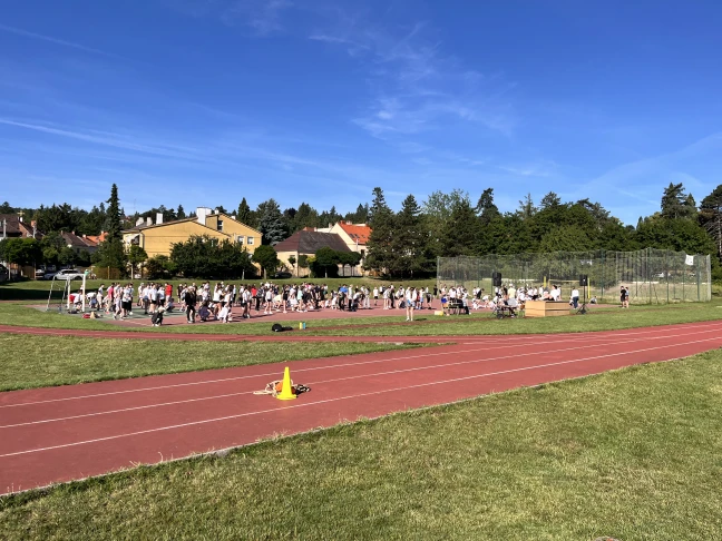 Csoportjaink