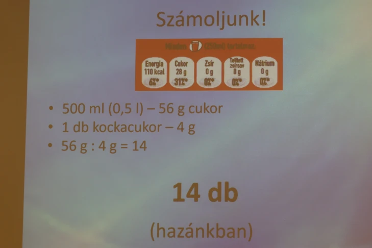 Csoportjaink