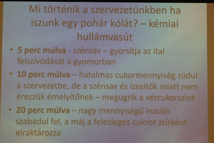 Csoportjaink