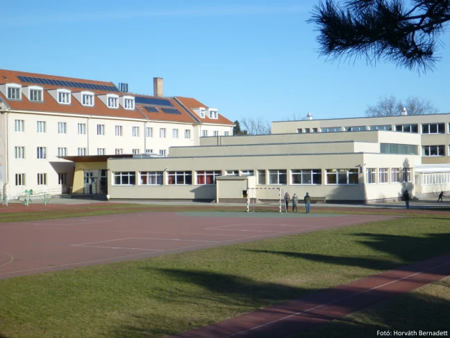 Csoportjaink