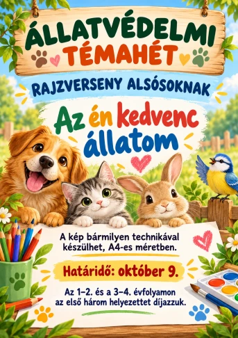 Csoportjaink