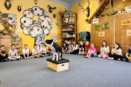 Öt éve kutyás órák az iskolában