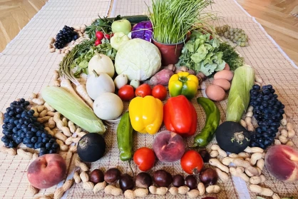 Erntedankfest (Aratóünnep) a Hunyadiban