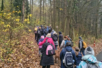 Erdő, kilátó, rajzfilmek – őszi túrakaland a Medvetalp Túracsoporttal